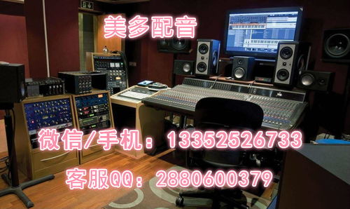 淡水銀魚(yú)市場(chǎng)行情與錄音制作應(yīng)用