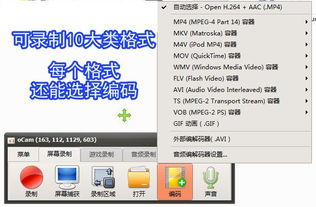 錄屏小將OCam 全能錄屏截圖錄音，專(zhuān)業(yè)攝影服務(wù)一應(yīng)俱全